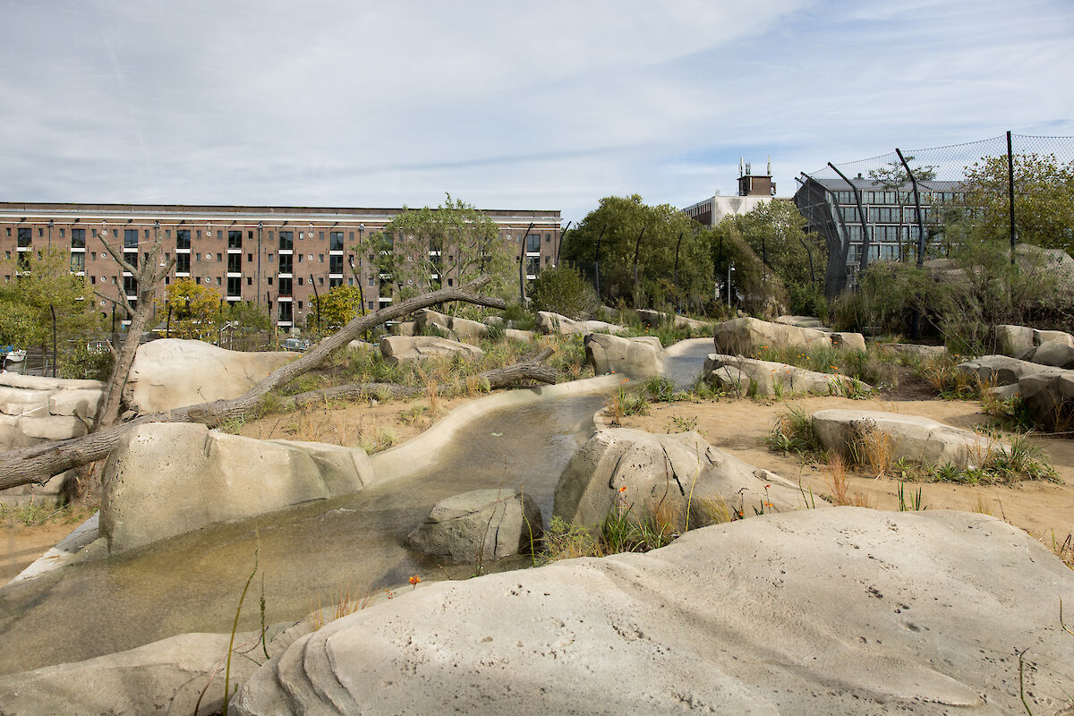 Het nieuwe hol van de leeuw