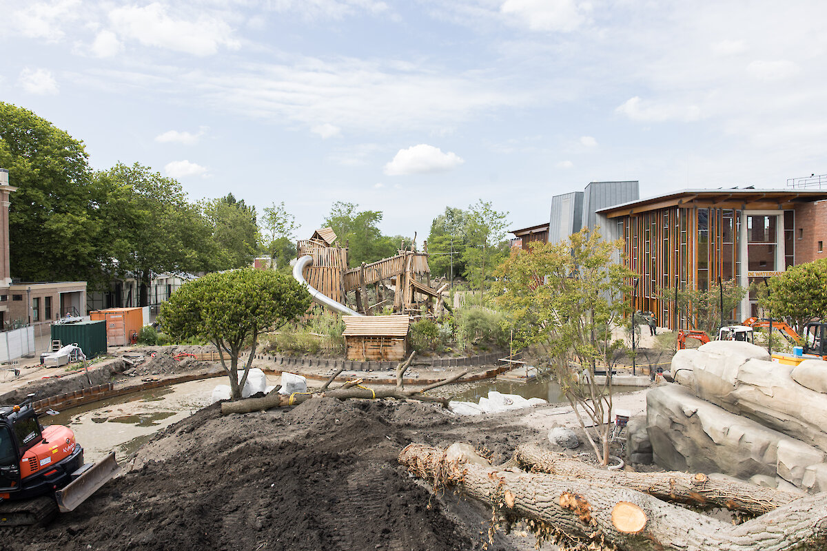 Het nieuwe hol van de leeuw