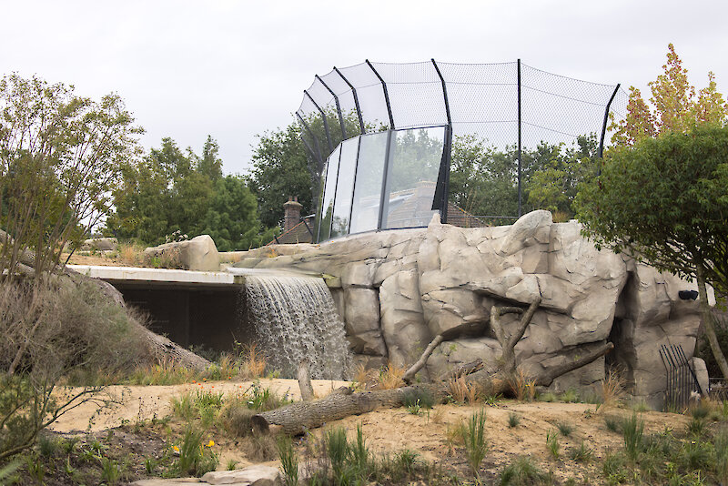 Het nieuwe hol van de leeuw
