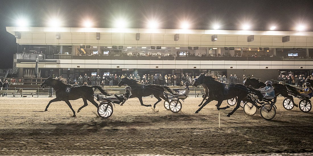 Zweepslag uitgebannen bij paardenraces: ‘Jullie letten alleen maar op