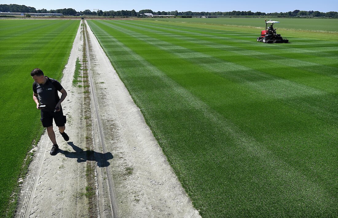 Het luistert nauw met gras, maar ‘we hebben het geflikt’