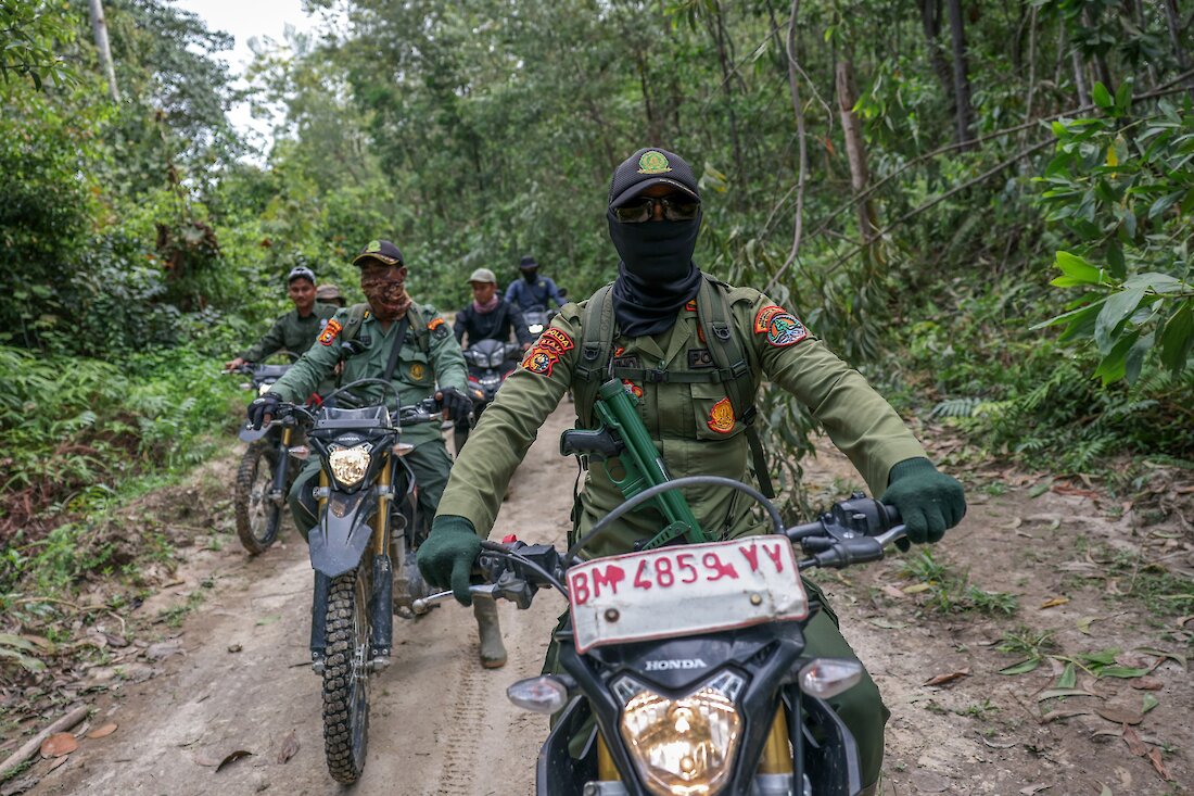 Indonesië bindt de strijd aan met illegale plantages, maar de lokale bevolking betaalt de prijs